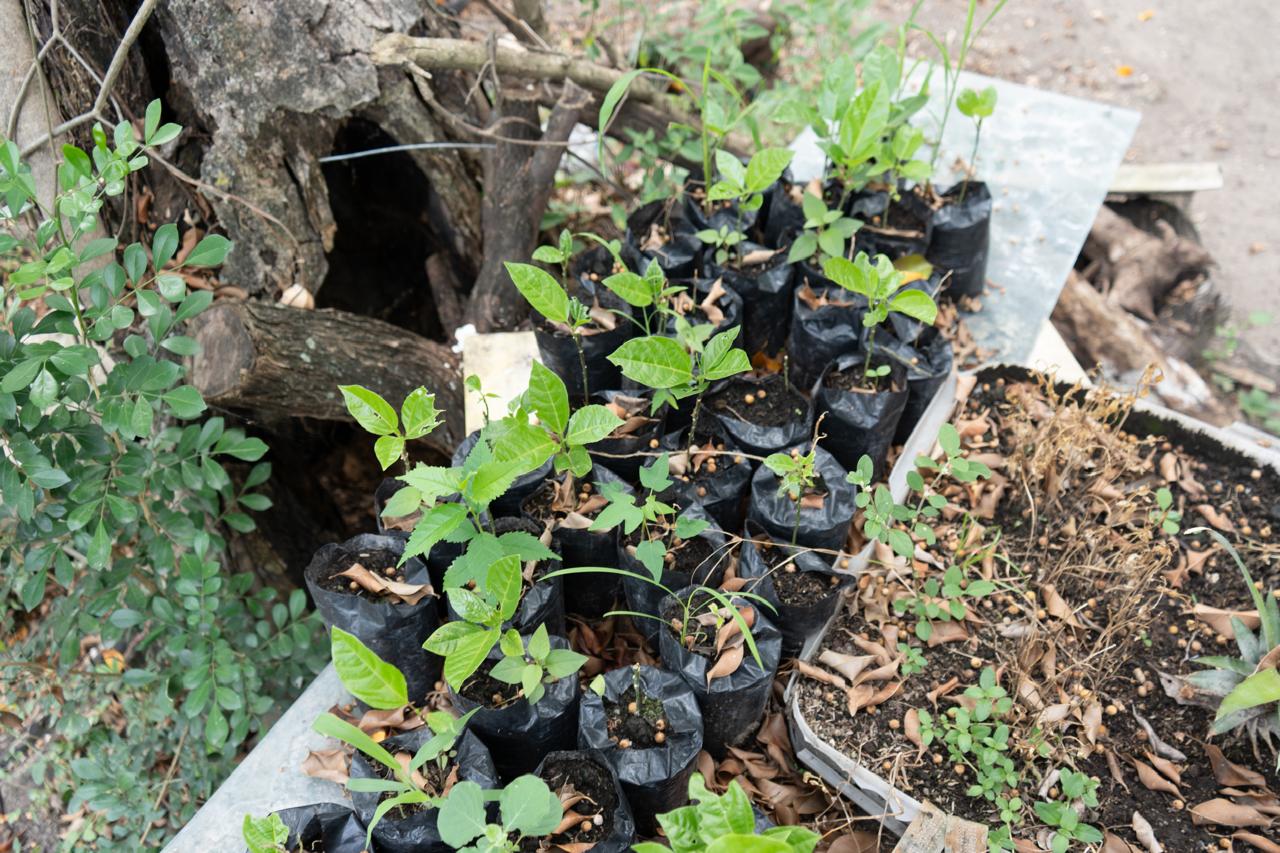 La Gobernación de Cundinamarca dio $123 millones para vivero en Agua de Dios para aportará a la recuperación del río Bogotá