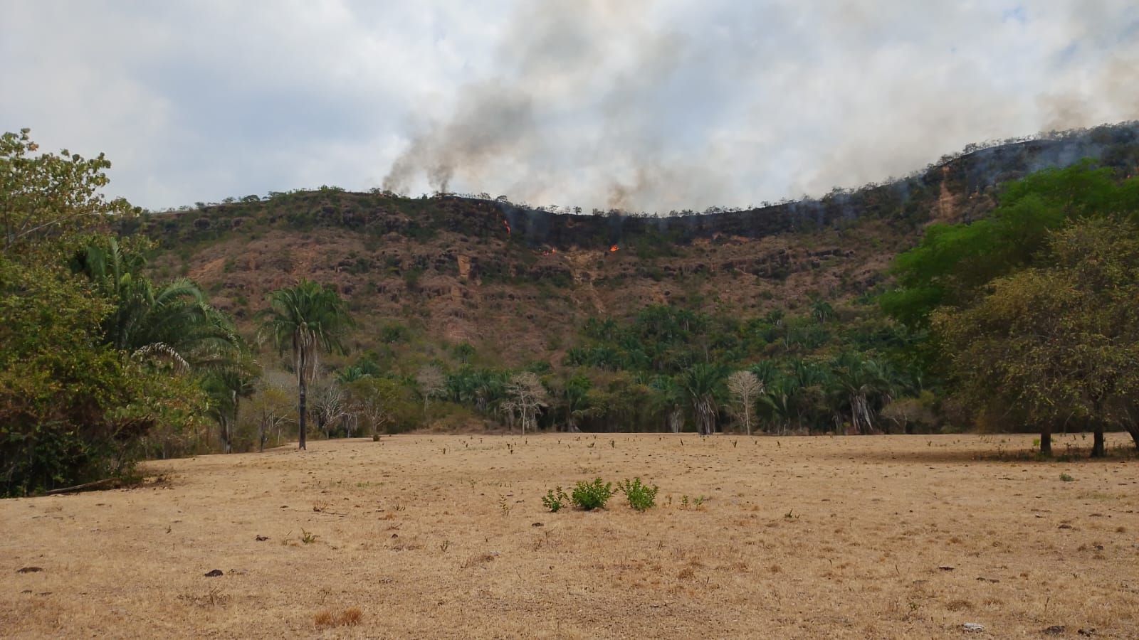 Cundinamarca mantiene apoyo aéreo tras 28 incendios registrados los últimos días